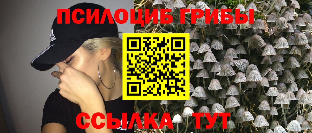 Псилоцибиновые грибы MAGIC MUSHROOMS  Вход с VPN  Норильск 