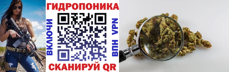 где найти Норильск Канабис VHQ