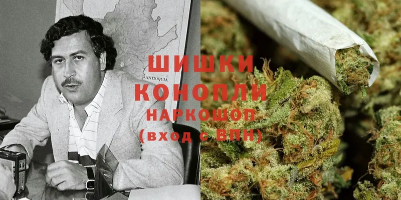 Бошки марихуана Bruce Banner  omg ТОР  Норильск 